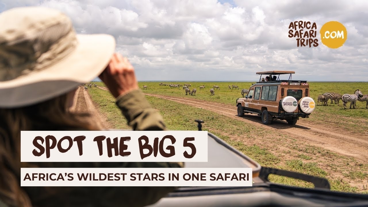 Find the Big 5 on safari in Kenya with Africa Safari Trips