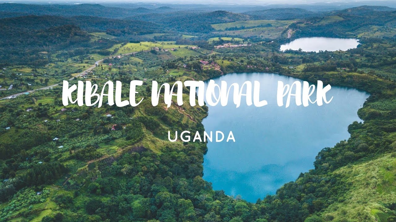 Kibale National Park, Uganda | Crater Safari Lodge