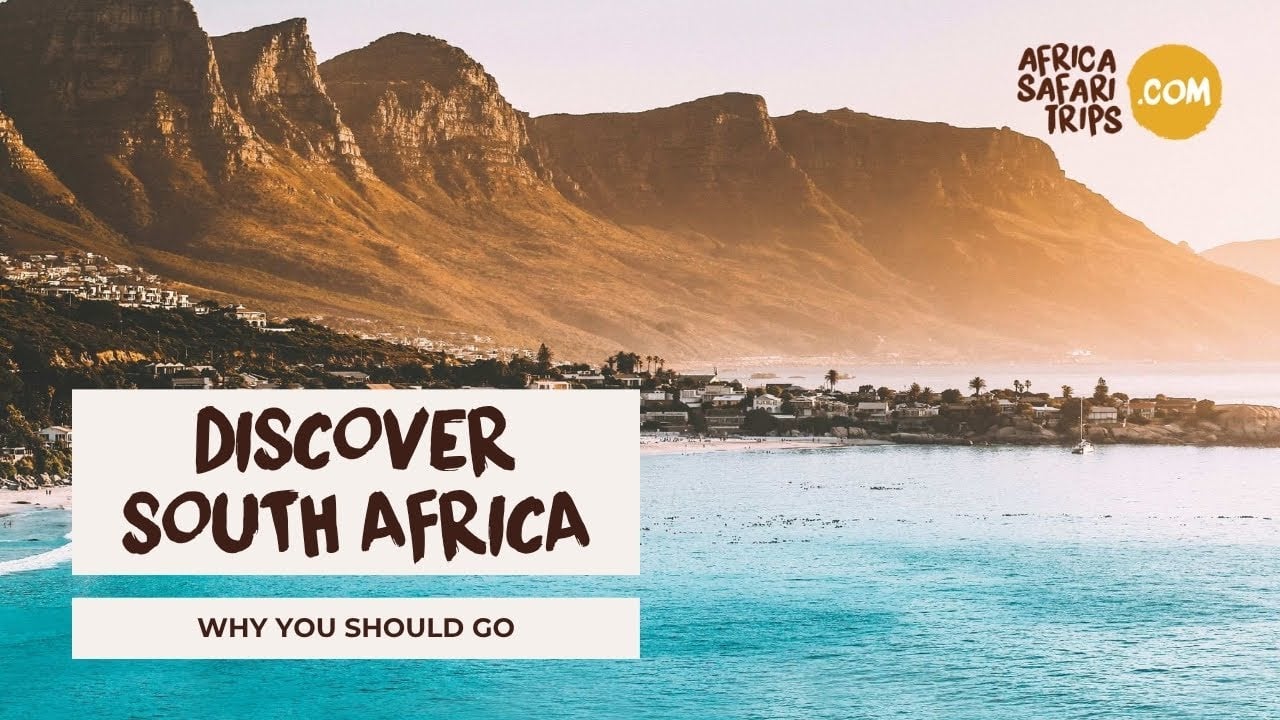 Explore South Africa: Safaris, Cape Town & More 🇿🇦 | Africa Safari Trips