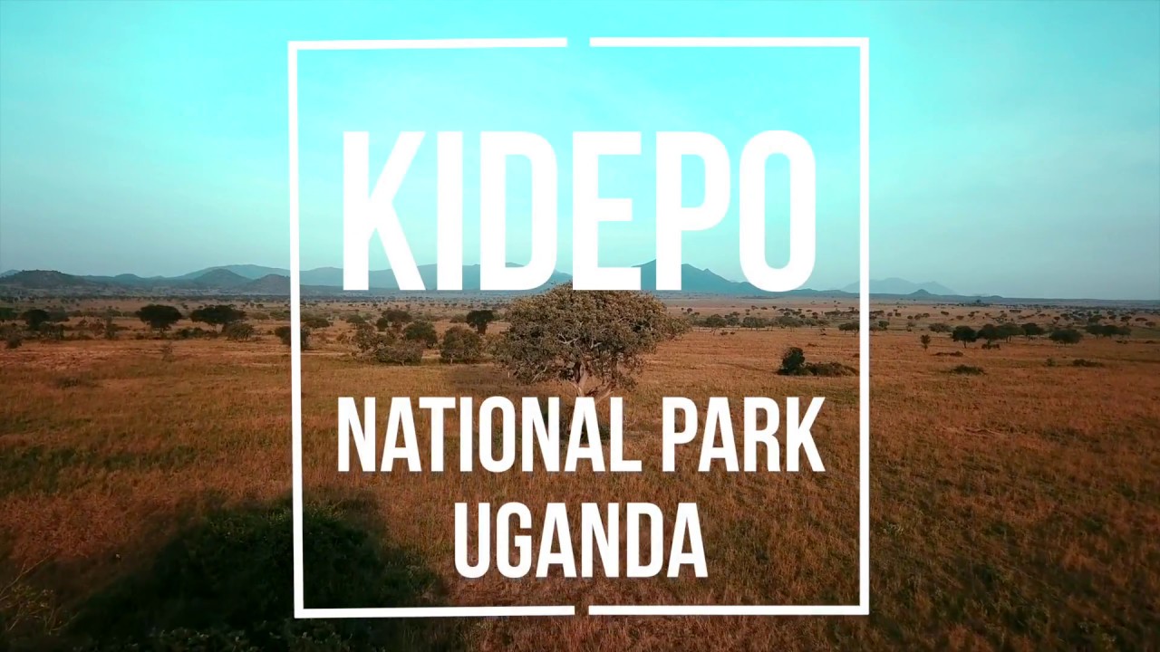 Safari in Kidepo National Park | Apoka Safari Lodge