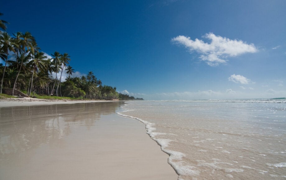 Diani Beach sabbia bianca e palme