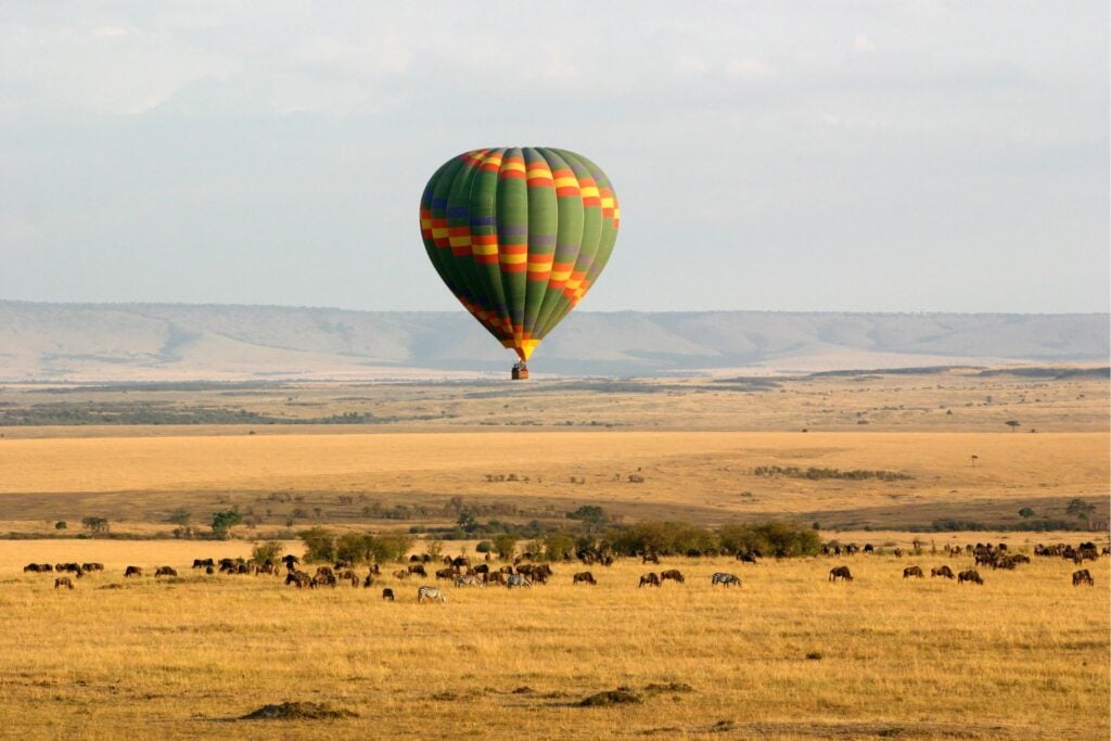 Mongolfiera Masai Mara zebre e gnu savana