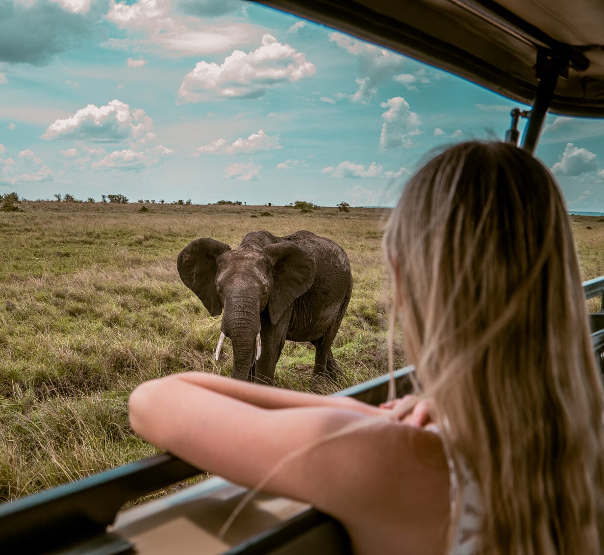 turista osserva elefante dalla jeep