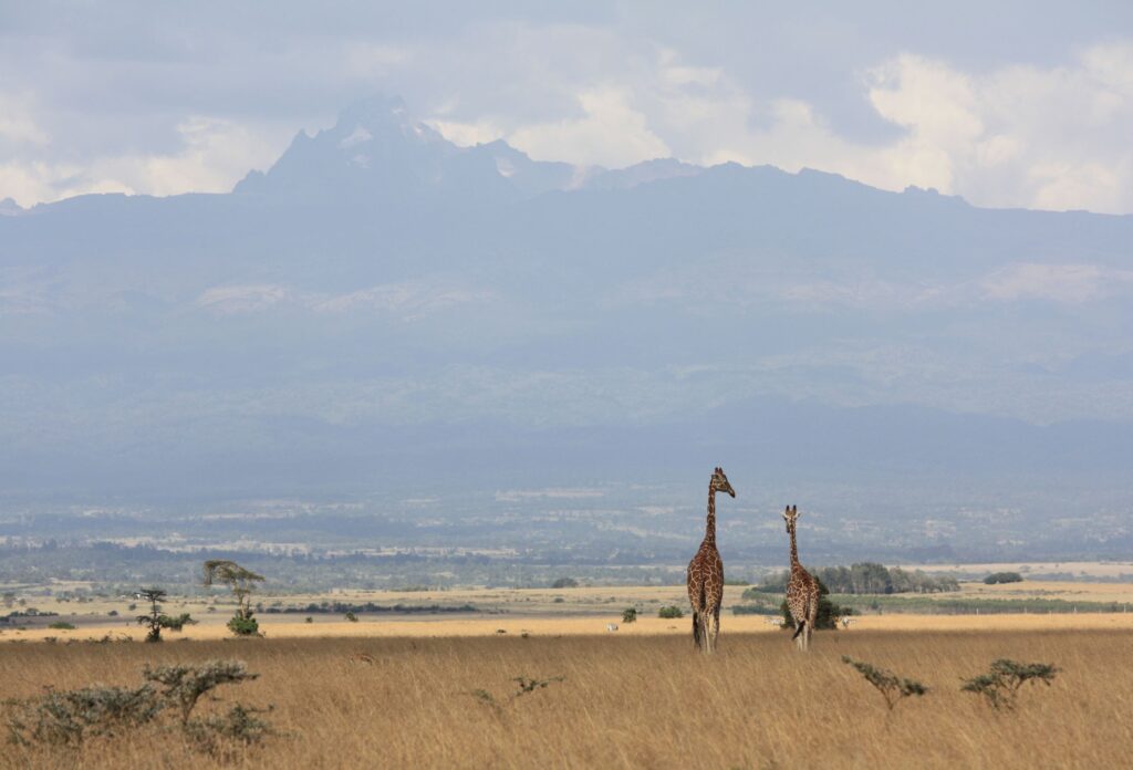 monte Kenya e Aberdare