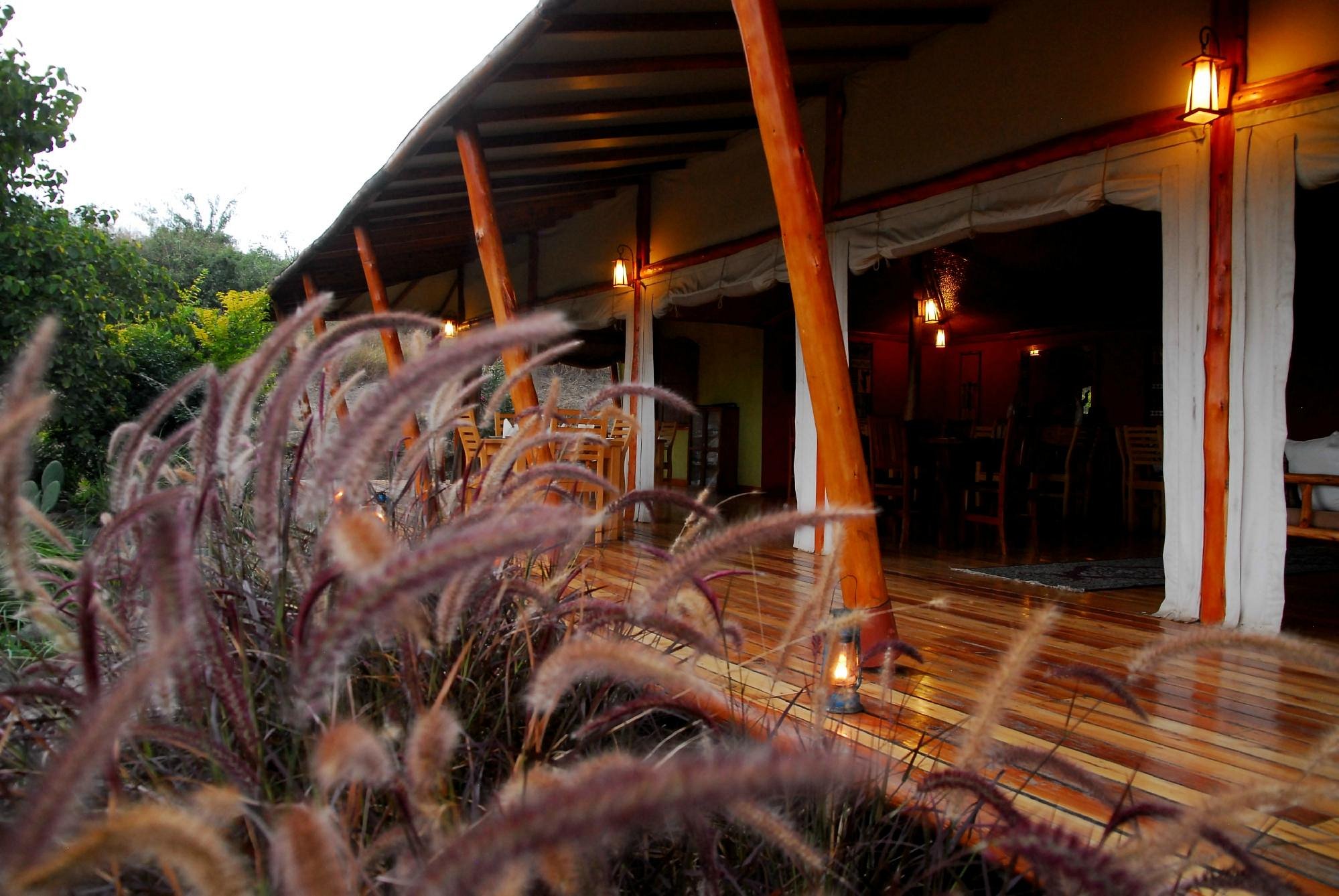 Alloggi Alloggi dorati