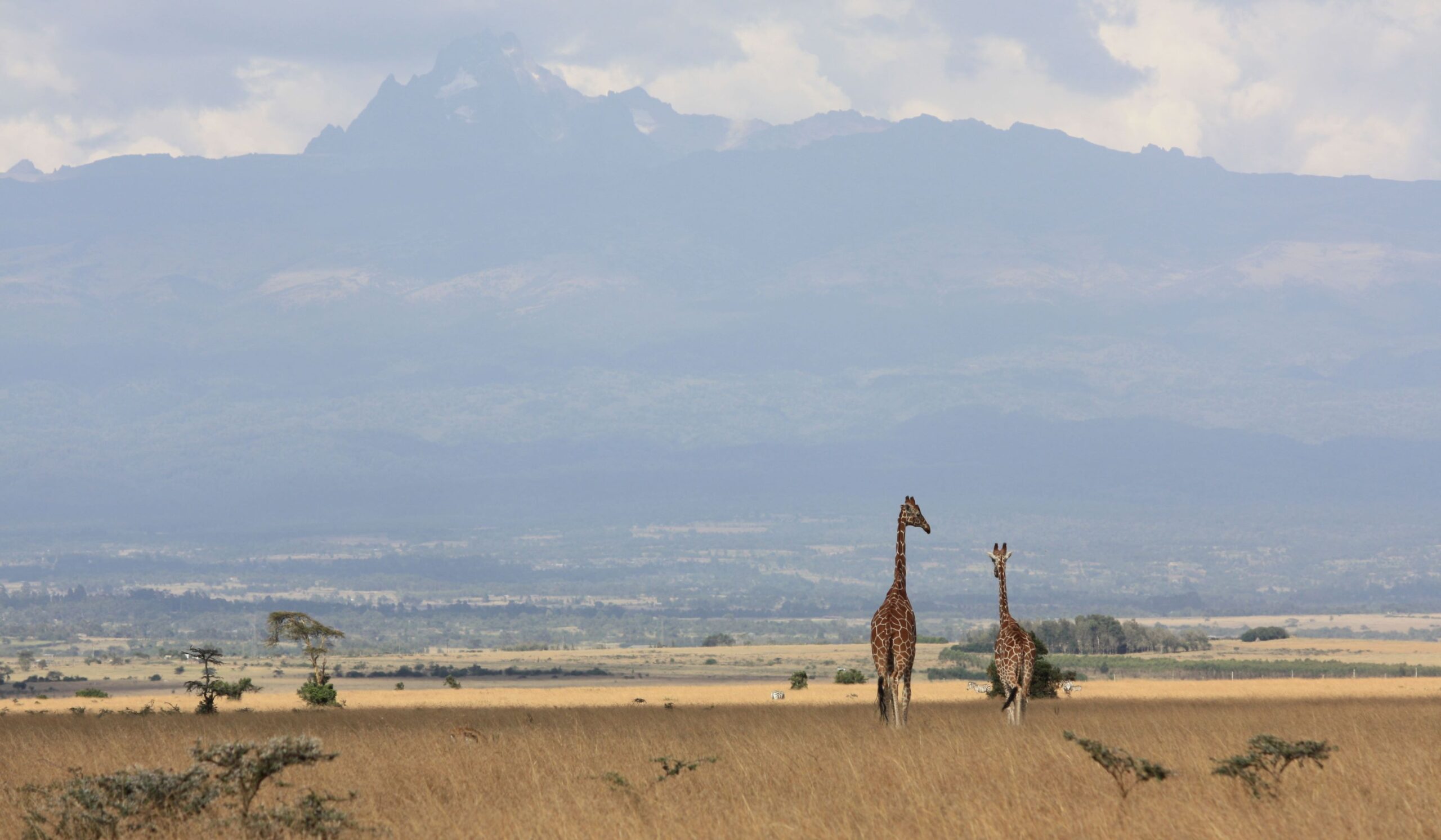 Parco Nazionale dell'Aberdare