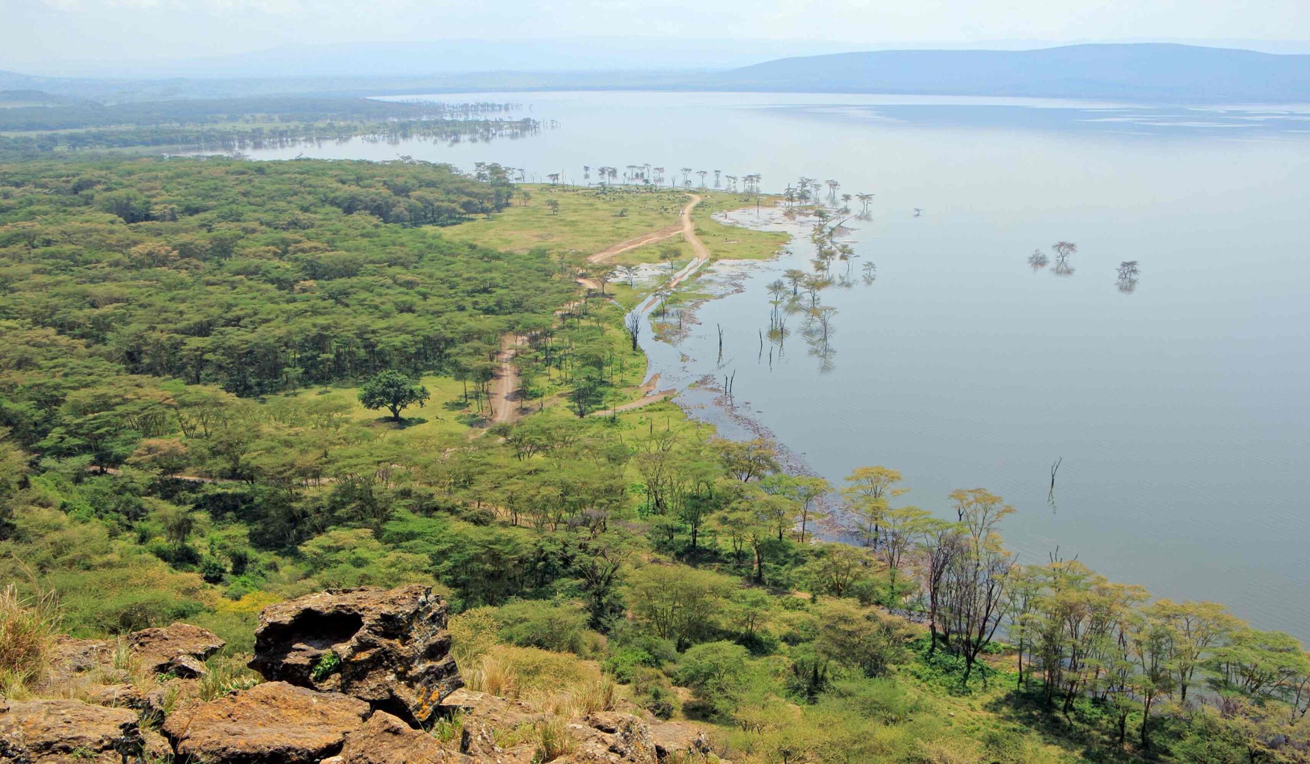 Parco Nazionale del Lago Nakuru