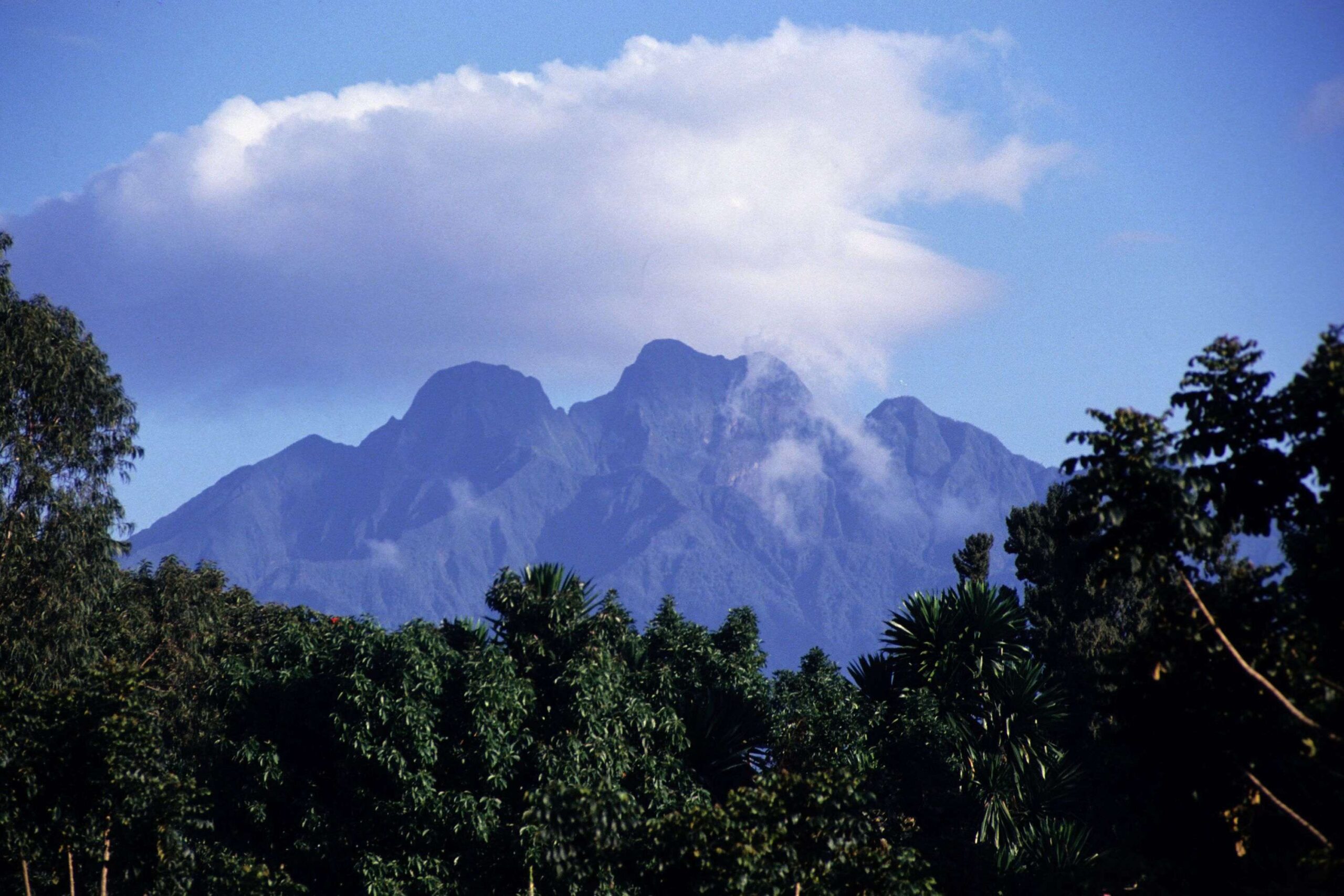 Trekking sul Vulcano Sabinyo nel Parco Nazionale dei Gorilla di Mgahinga
