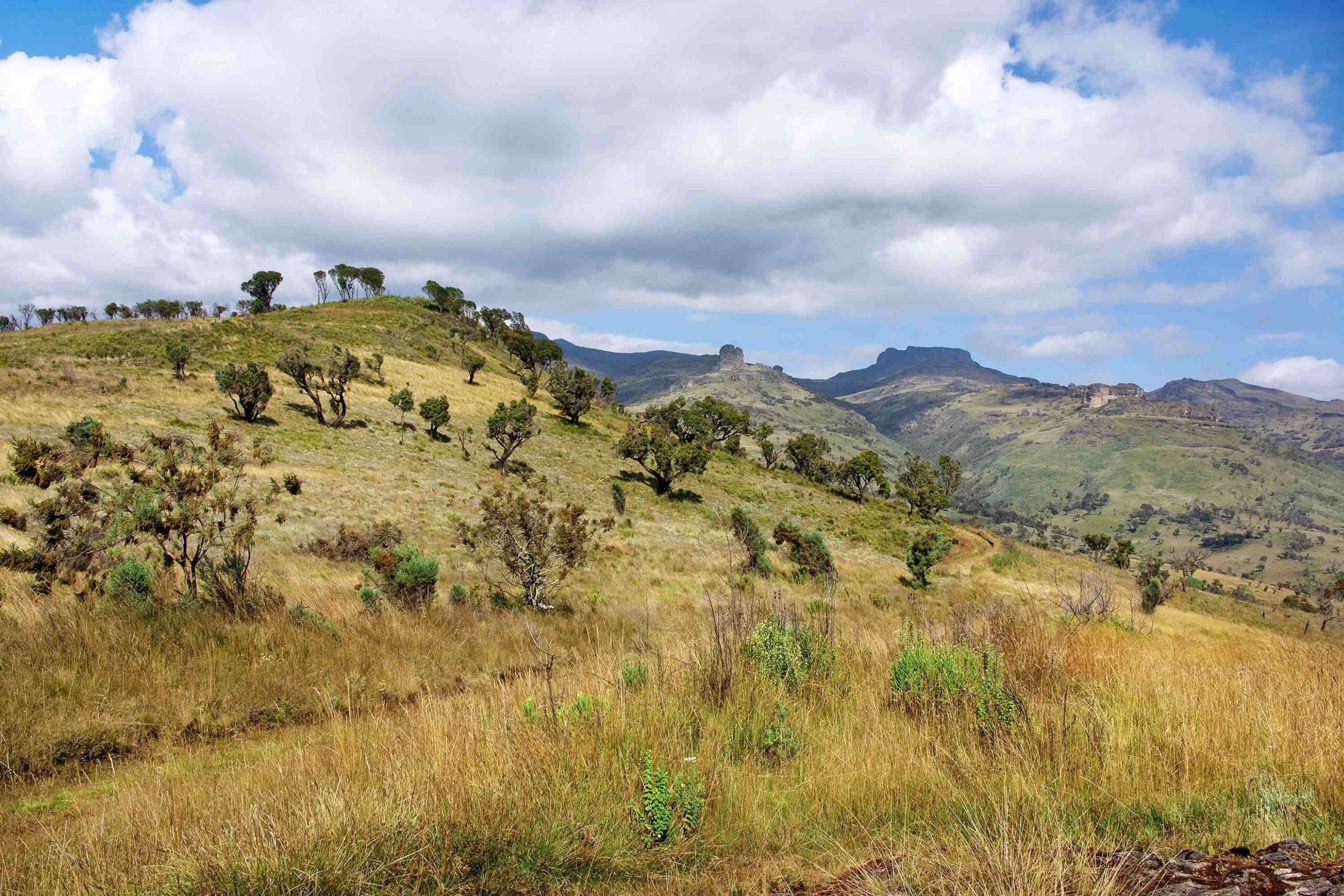 Viaggio in auto da Entebbe/Kampala alle Cascate di Sipi.