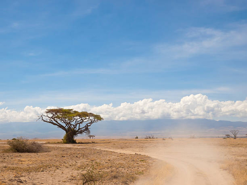 Trasferimento in auto dalla Riserva Nazionale del Masai Mara all'alloggio al di fuori del parco