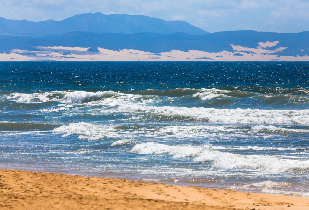 Jeffreys Bay sudafrica surf