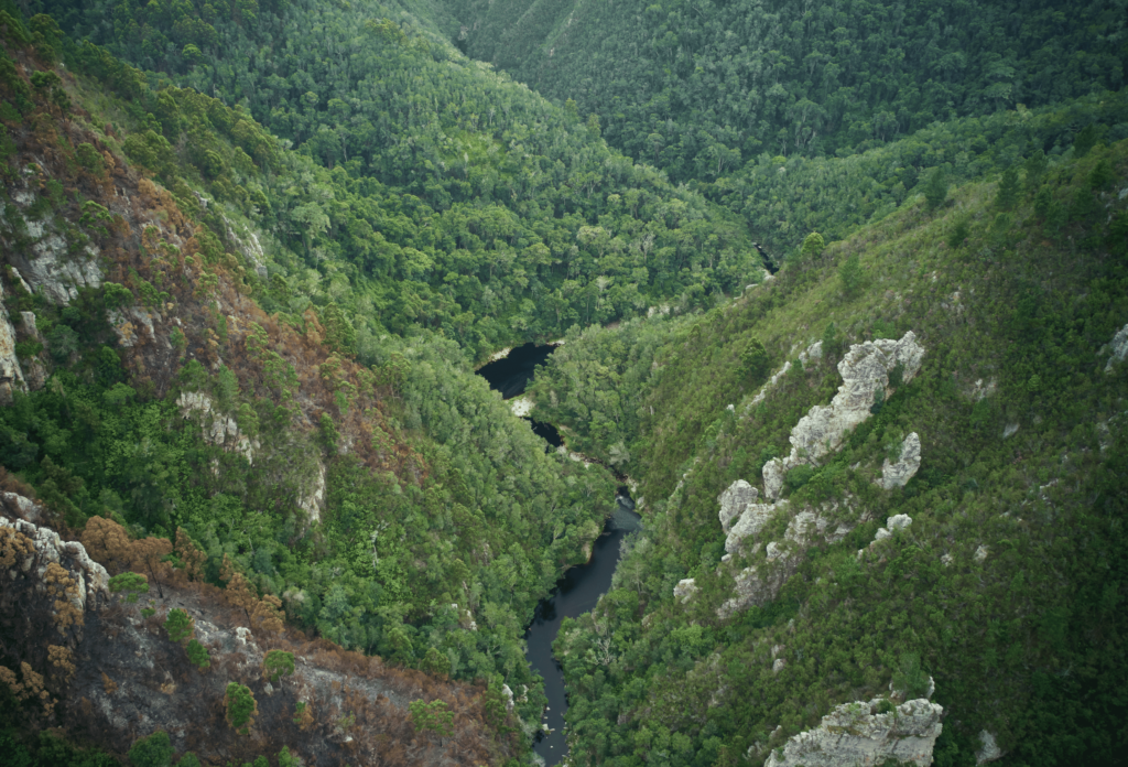 Nature's Valley sudafrica