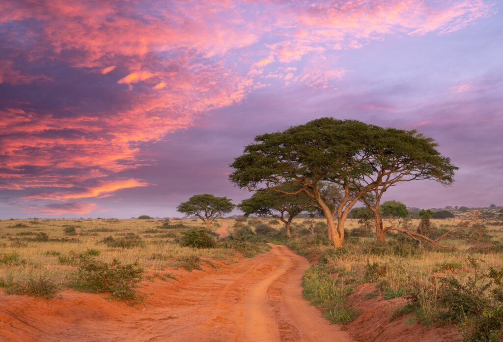 clima kenya e uganda