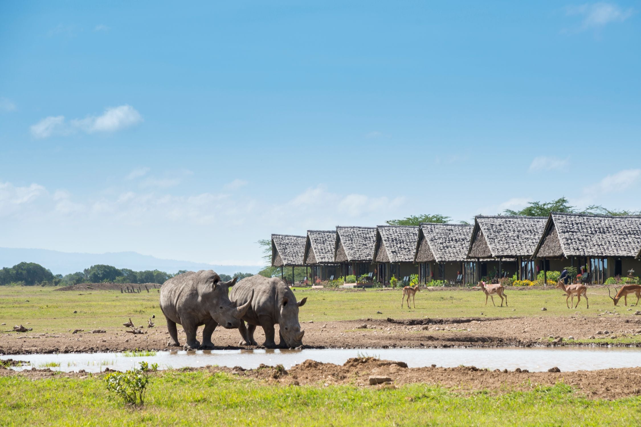 Sweetwaters Serena Camp - Morani Wing