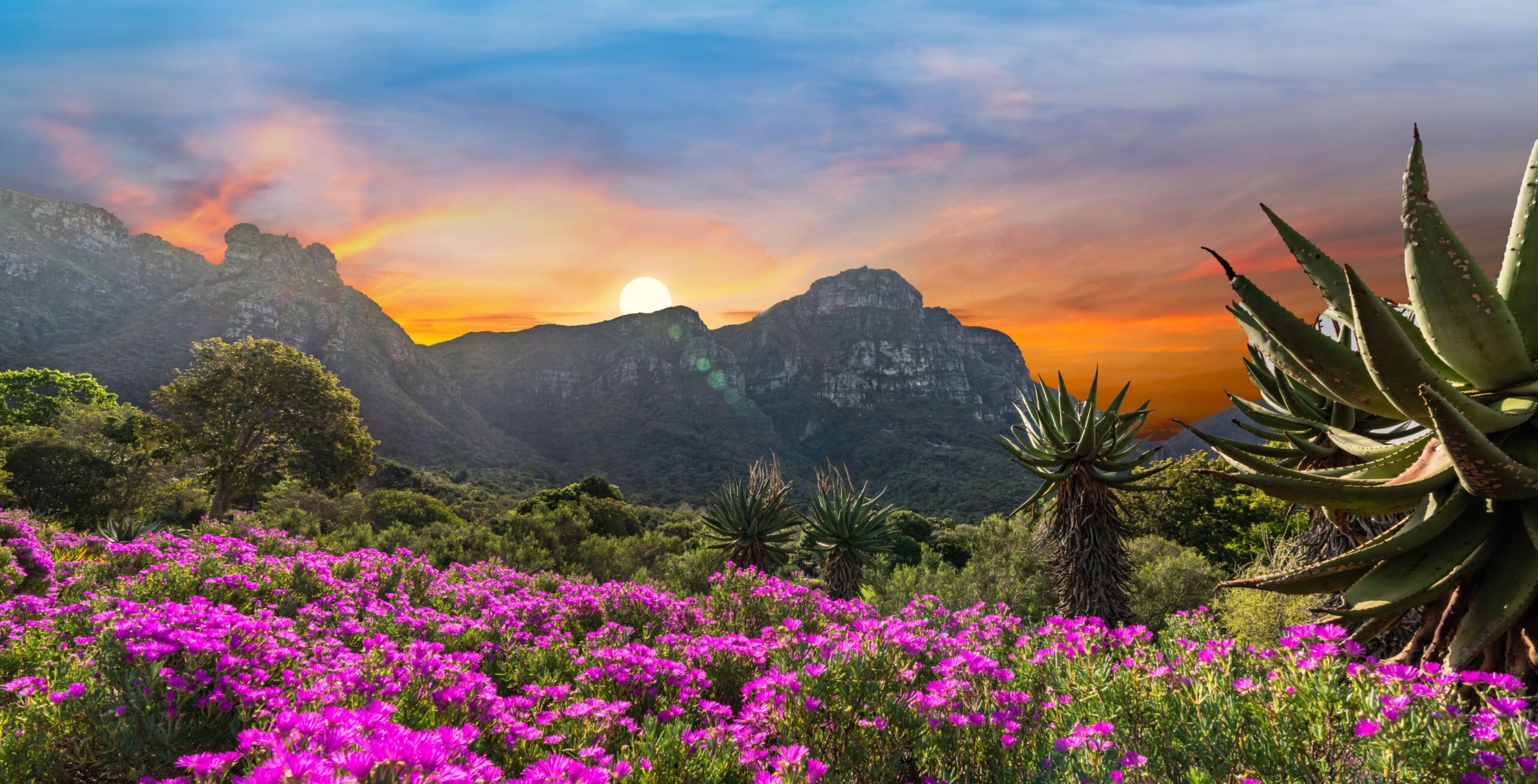 Visita il Giardino Botanico di Kirstenbosch.
