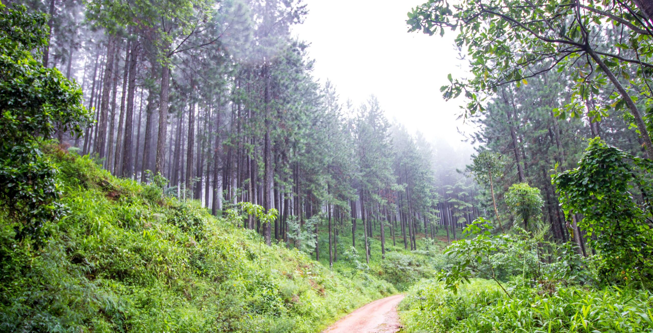 Guida da Waterberg a Magoebaskloof