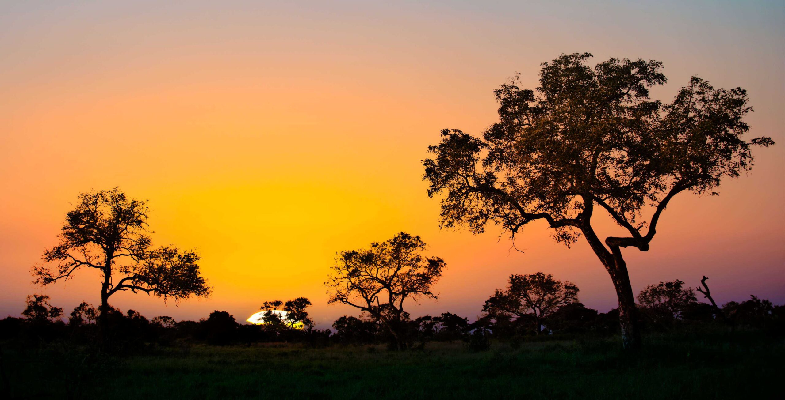 Guida da Mbombela (Nelspruit) al Parco Nazionale Kruger, ingresso Malelane