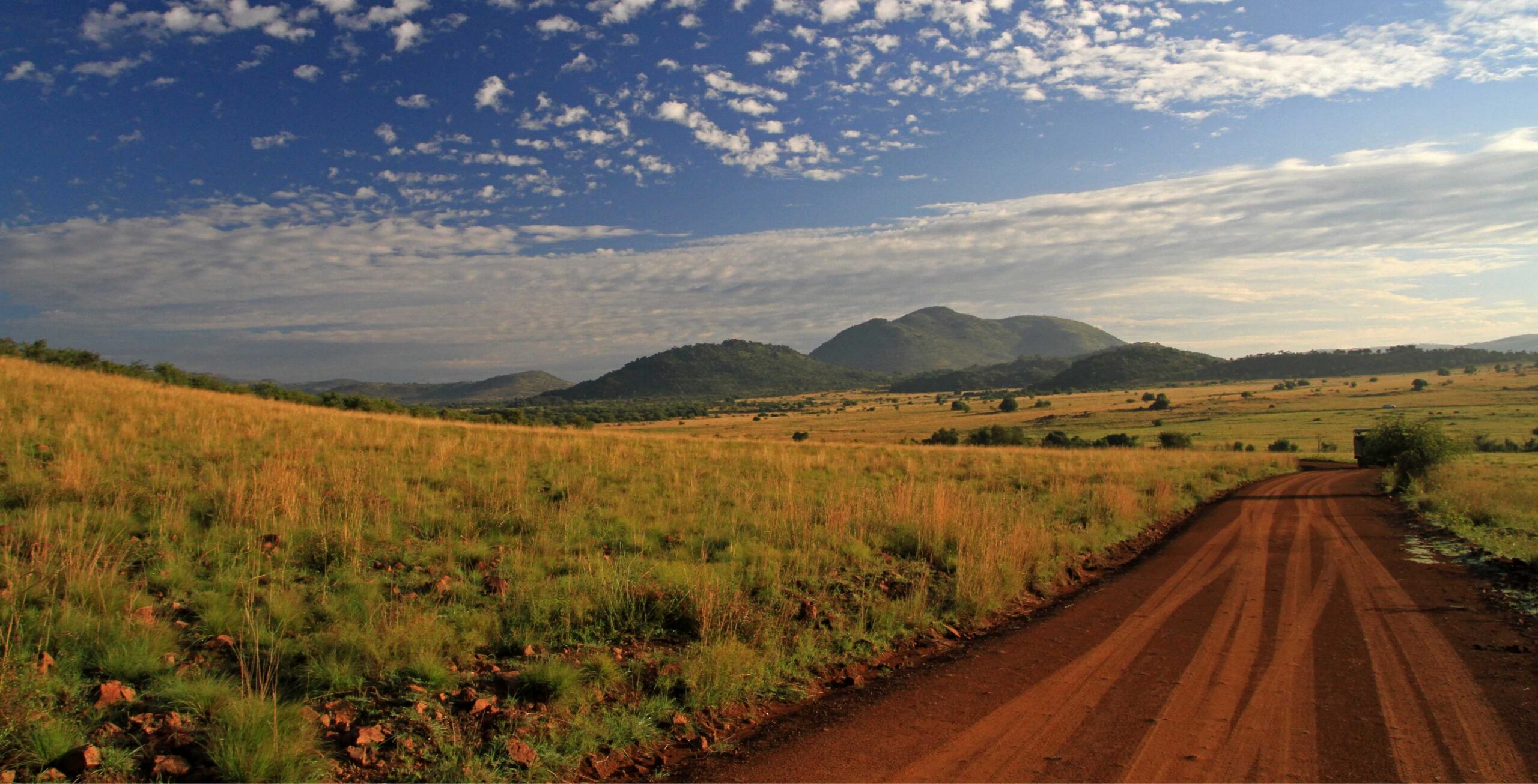 Parco Nazionale di Pilanesberg