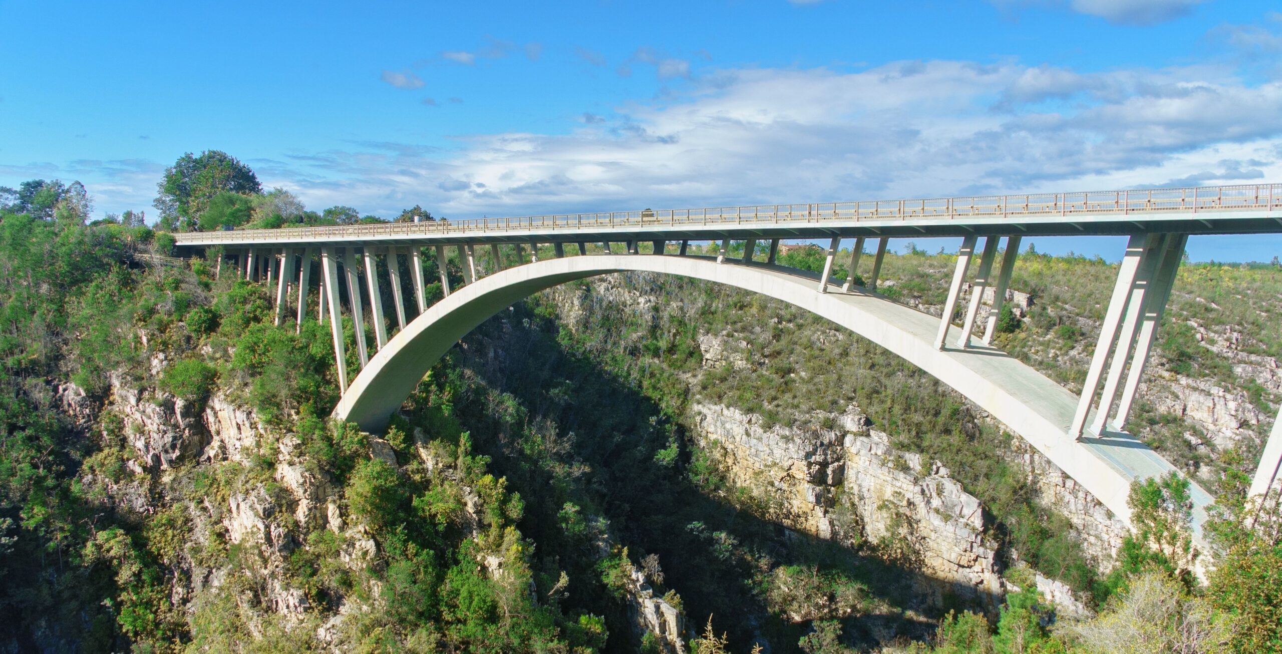 Guida da Plettenberg Bay a Tsitsikamma
