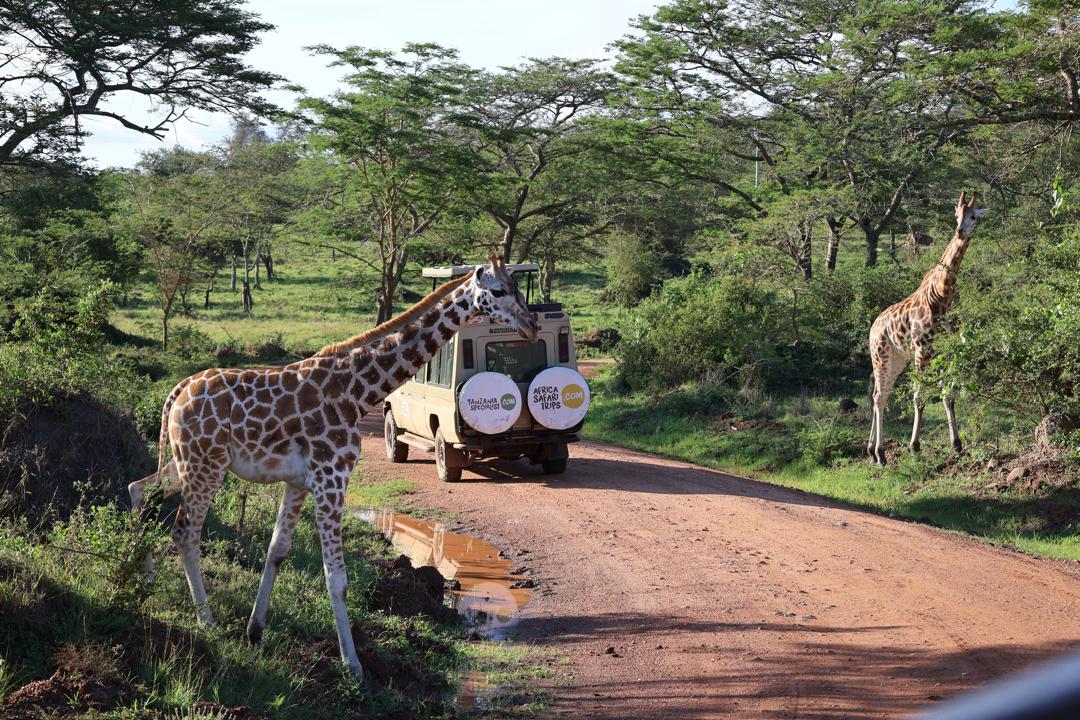 Safari in jeep nel Parco Nazionale del Lago Mburo
