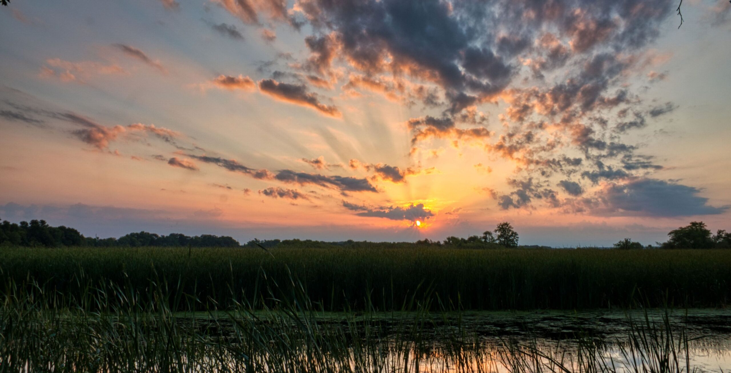 Volo dalla Concessione della Comunità di Khwai al Pantano di Savuti