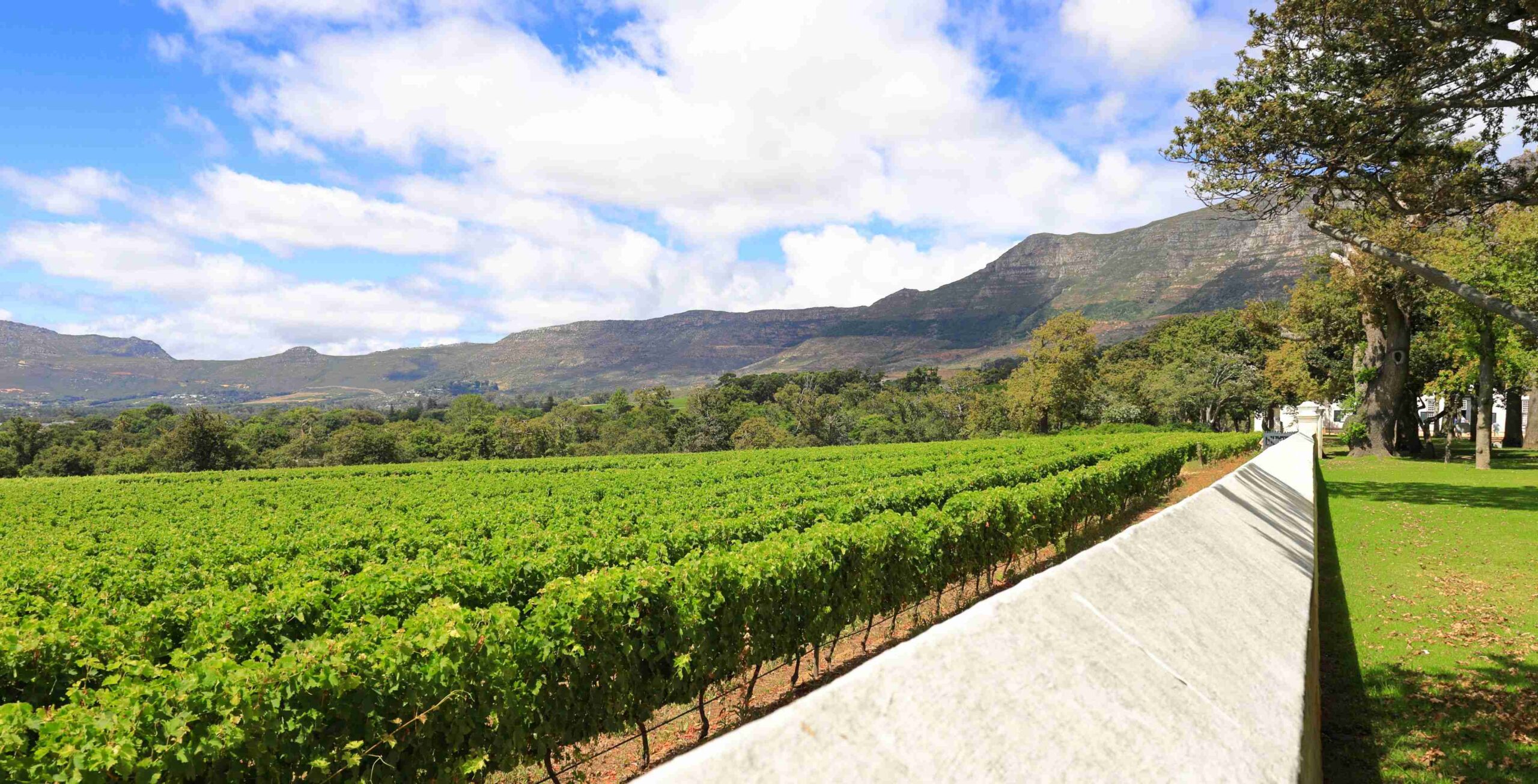 Visita alla cantina con degustazione di vini a Groot Constantia (pagamento in loco)