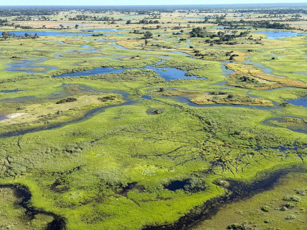 paesaggio botswana