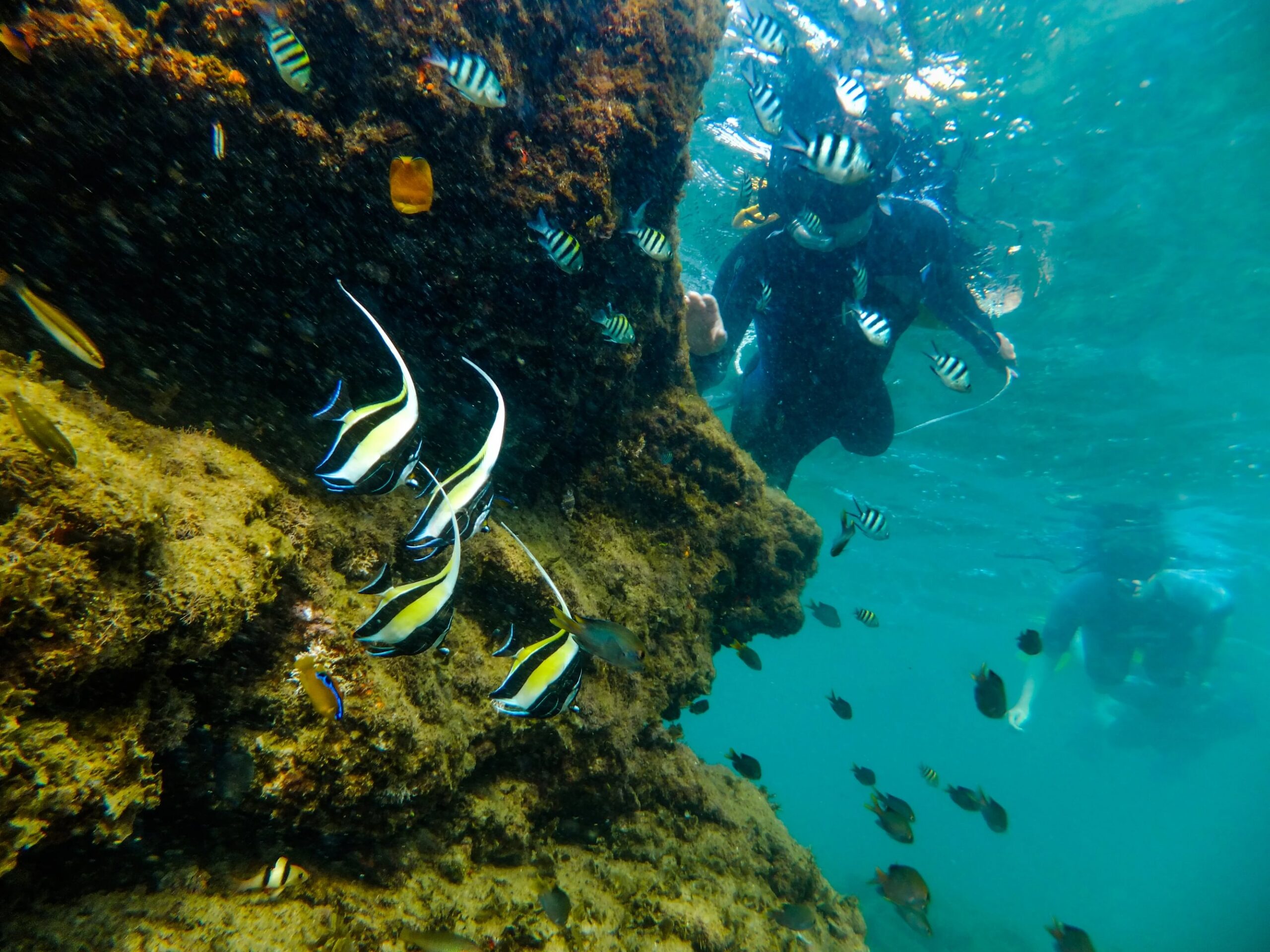 Snorkeling a Cape Vidal