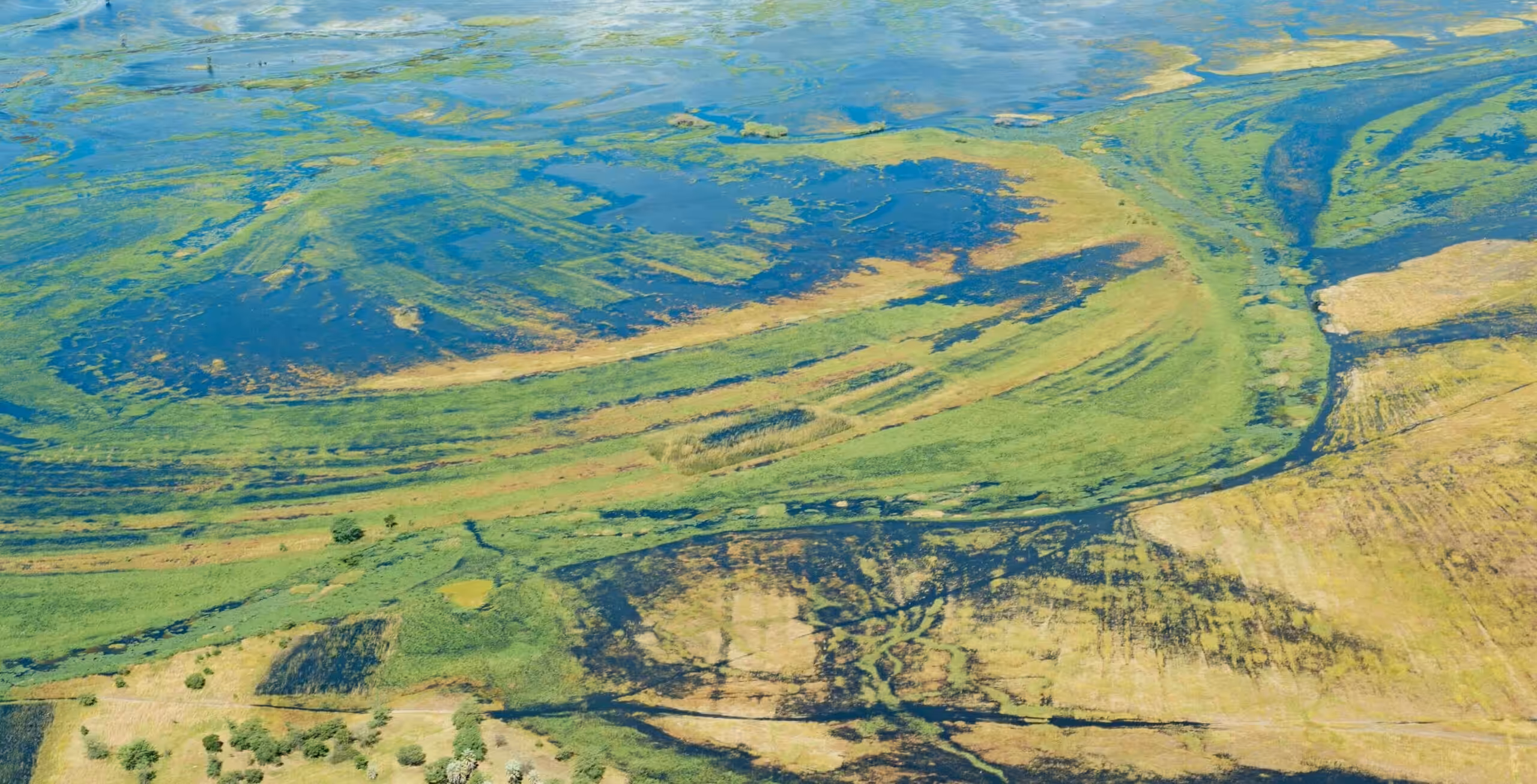 Volo da Savuti Marsh a Kasane.
