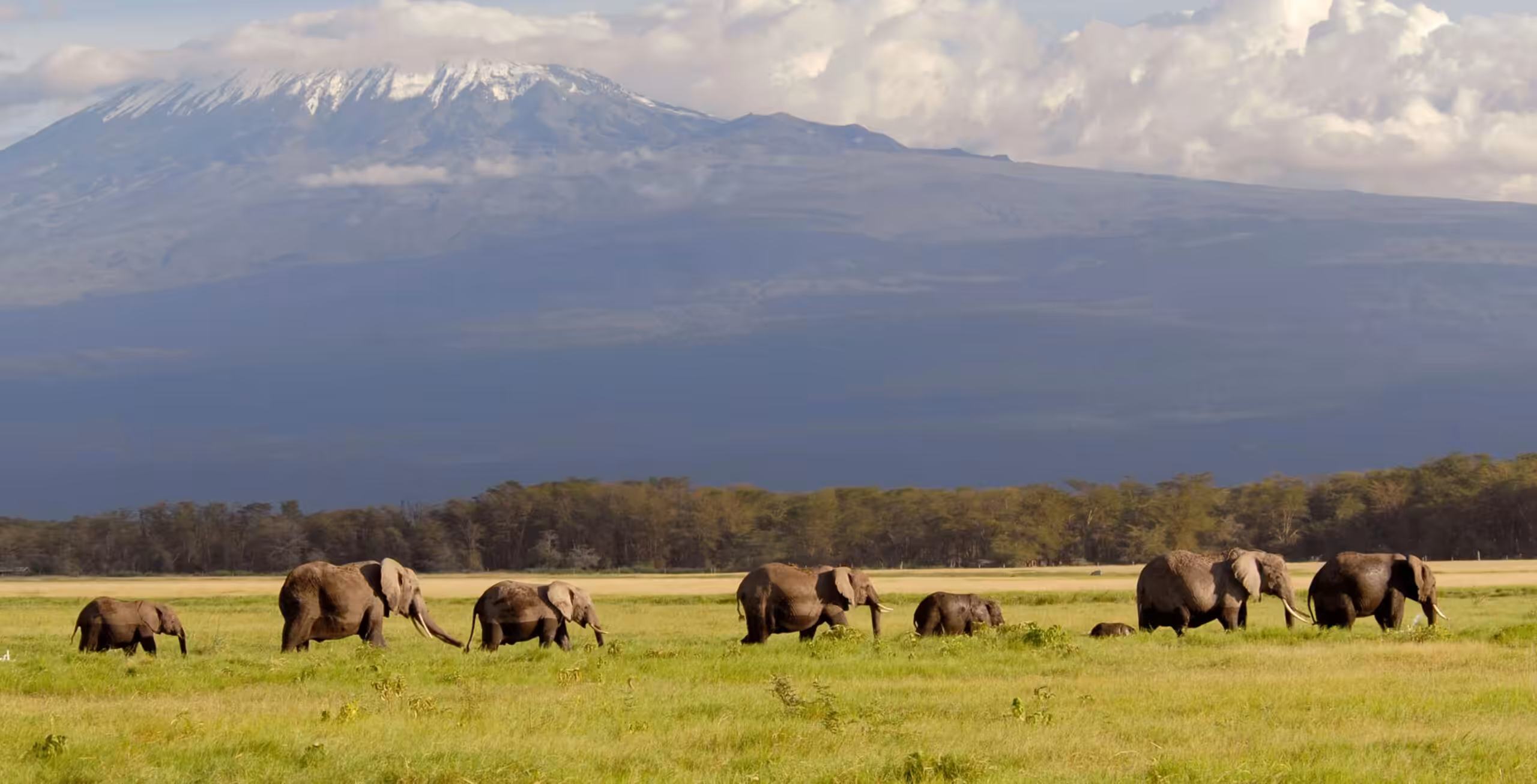 Parco Nazionale dell'Amboseli