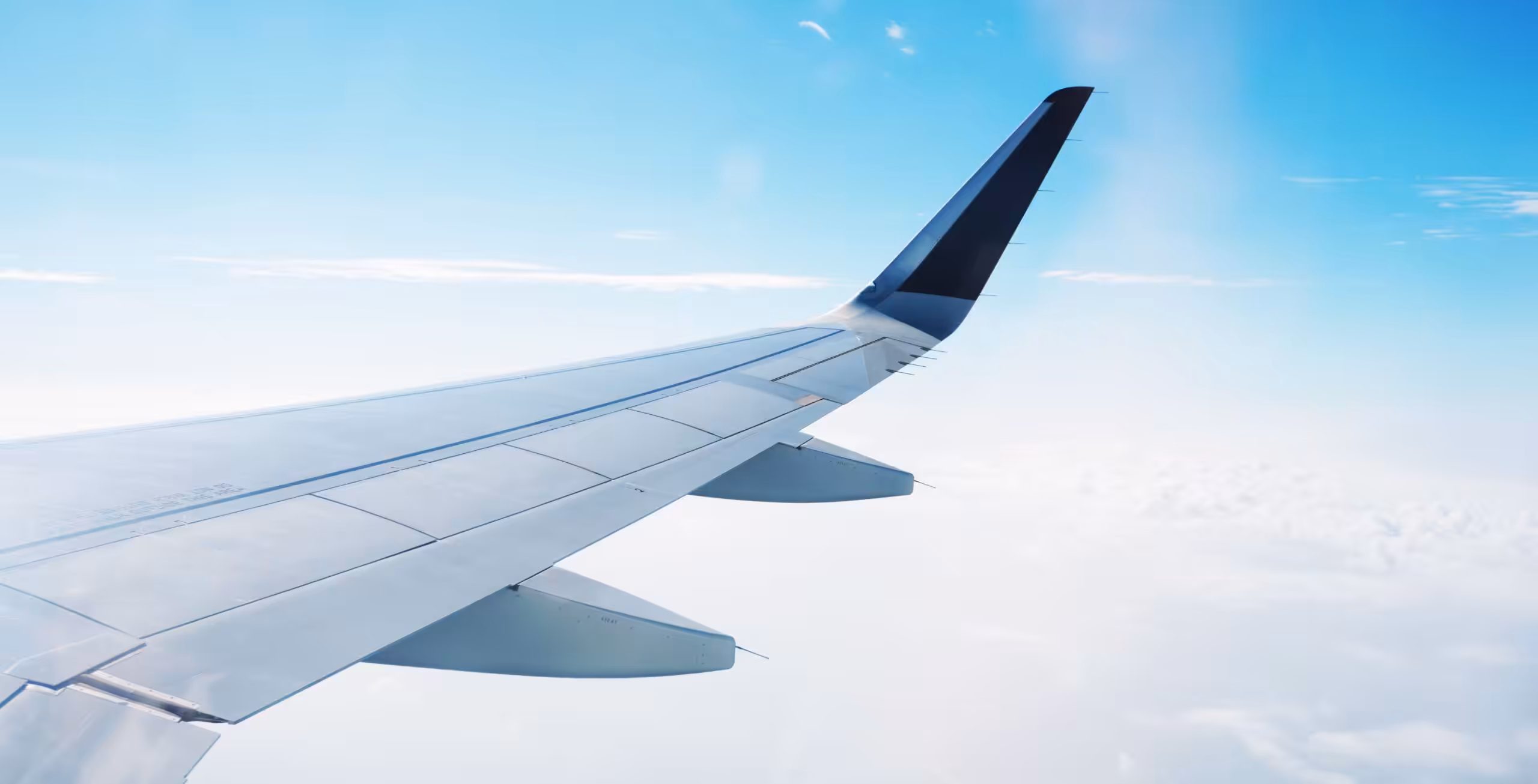 Volo di ritorno dall'Aeroporto Internazionale di Maun