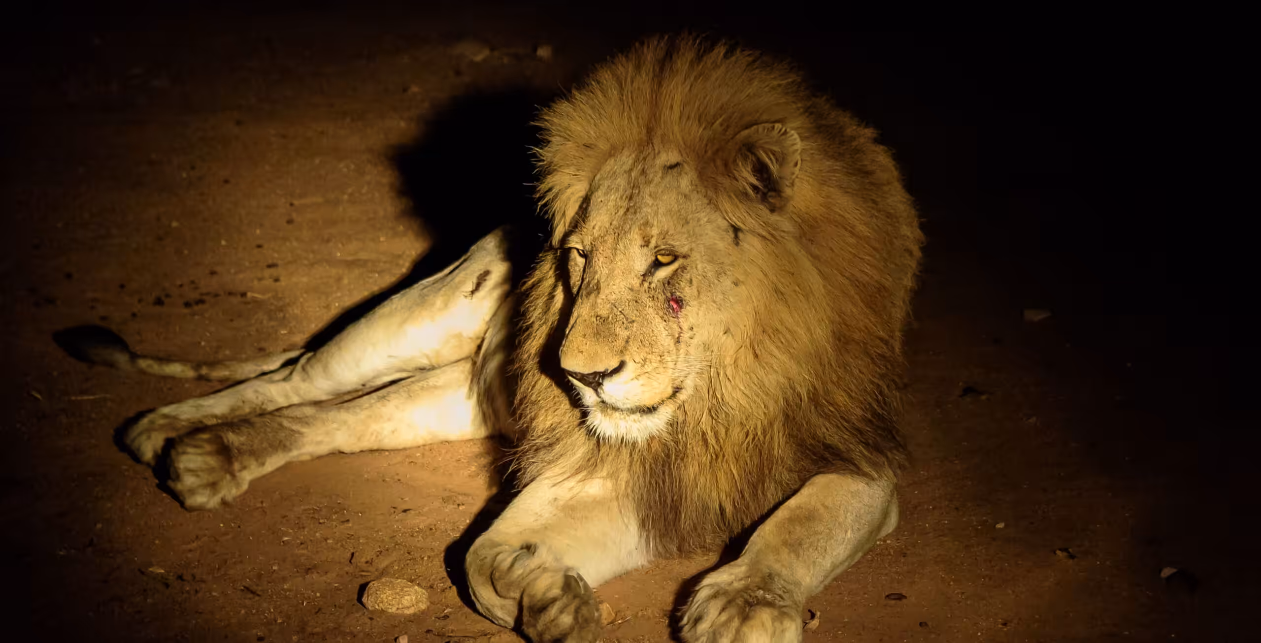 Taita Hills Wildlife Sanctuary e LUMO Conservancy
