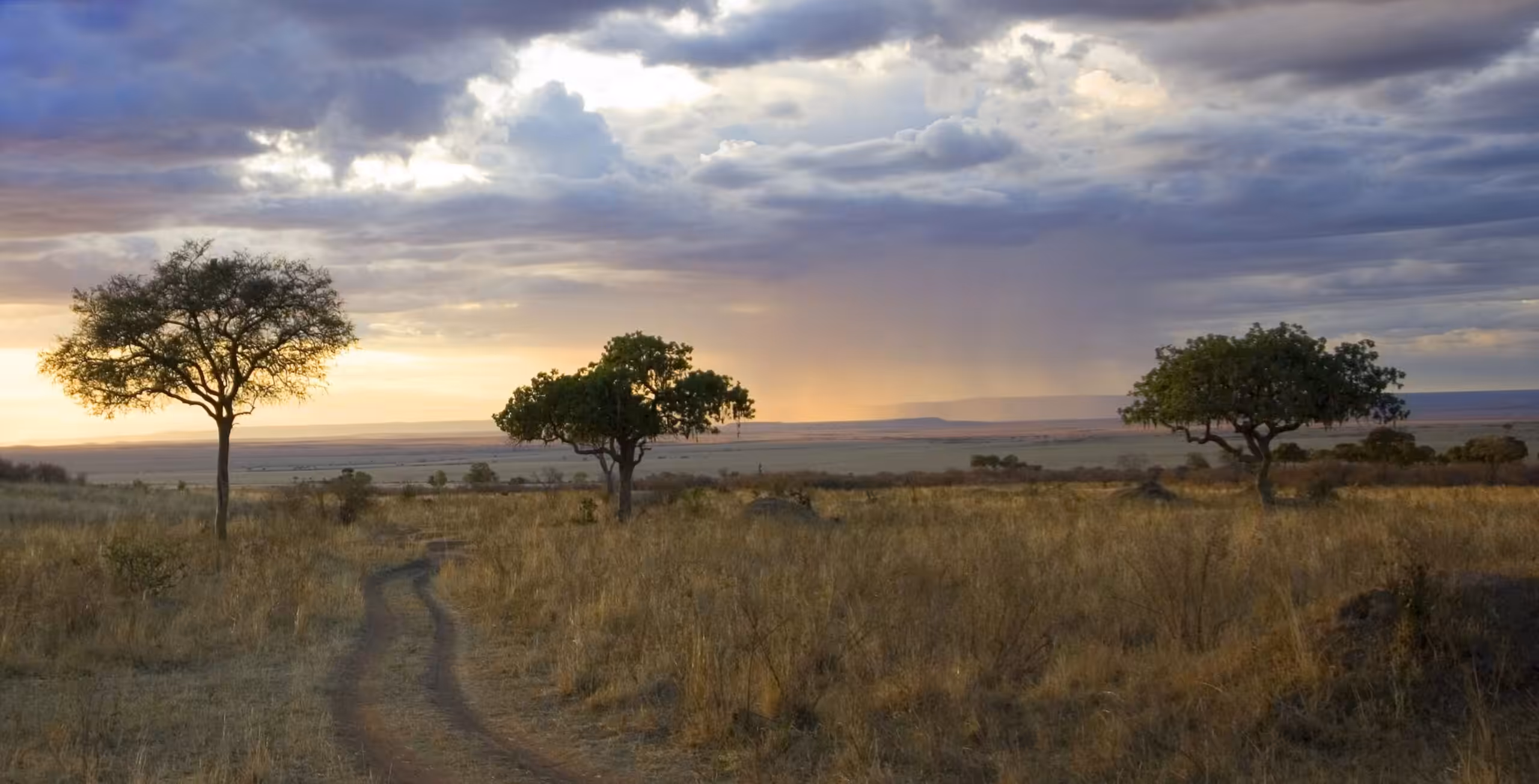 Trasferimento in auto dalla Riserva Nazionale del Masai Mara all'alloggio al di fuori del parco