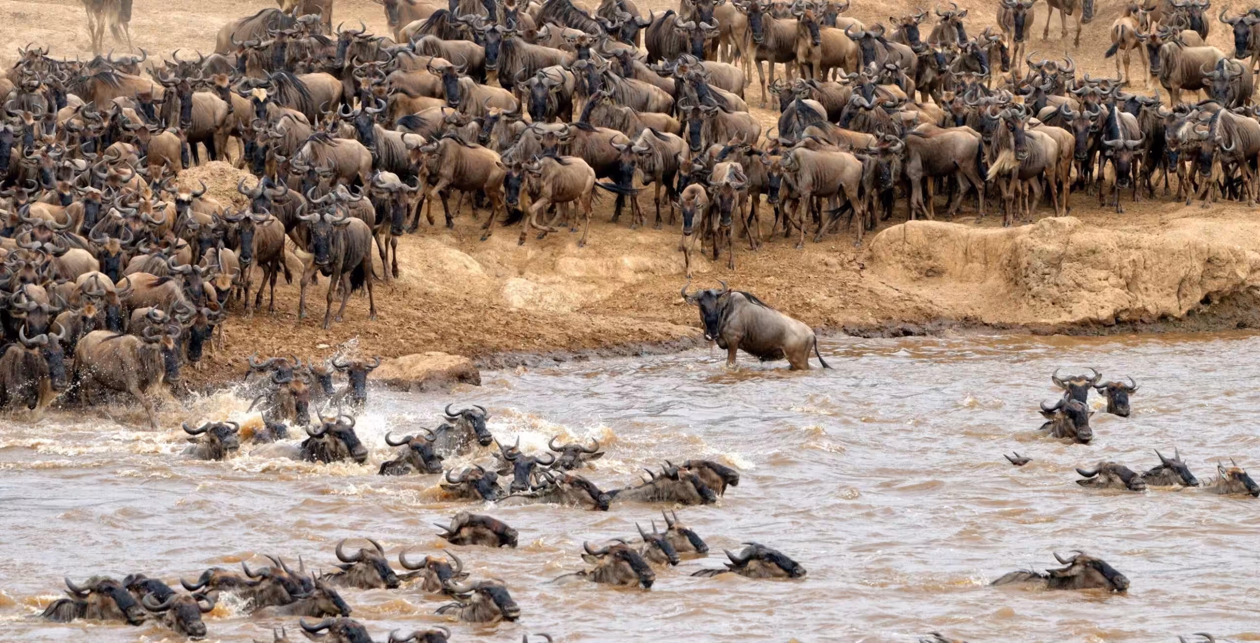 Riserva Nazionale del Masai Mara