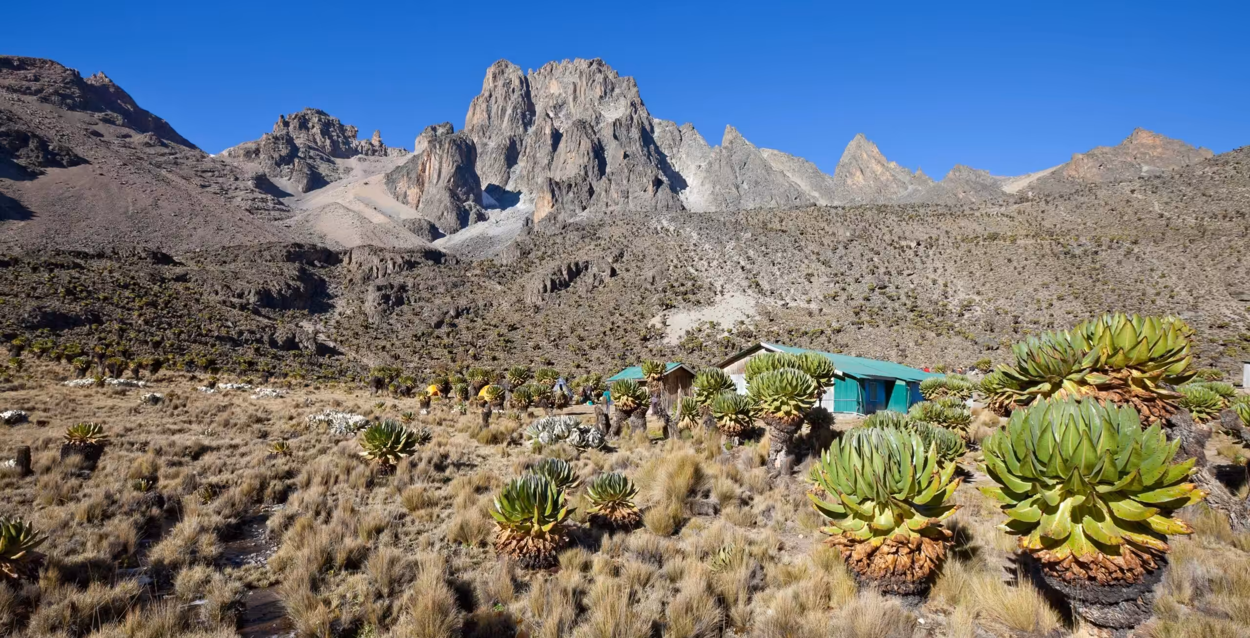Monte Kenya via Sirimon (2/5) | Old Moses Camp (3.340 m) - Shipton Camp (4.200 m)