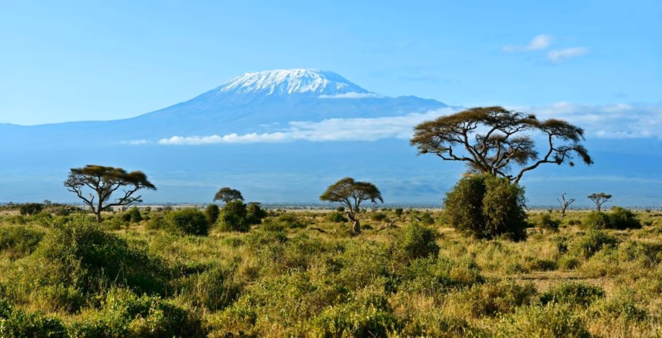 Trasferimento in auto da Nairobi al Parco Nazionale di Amboseli