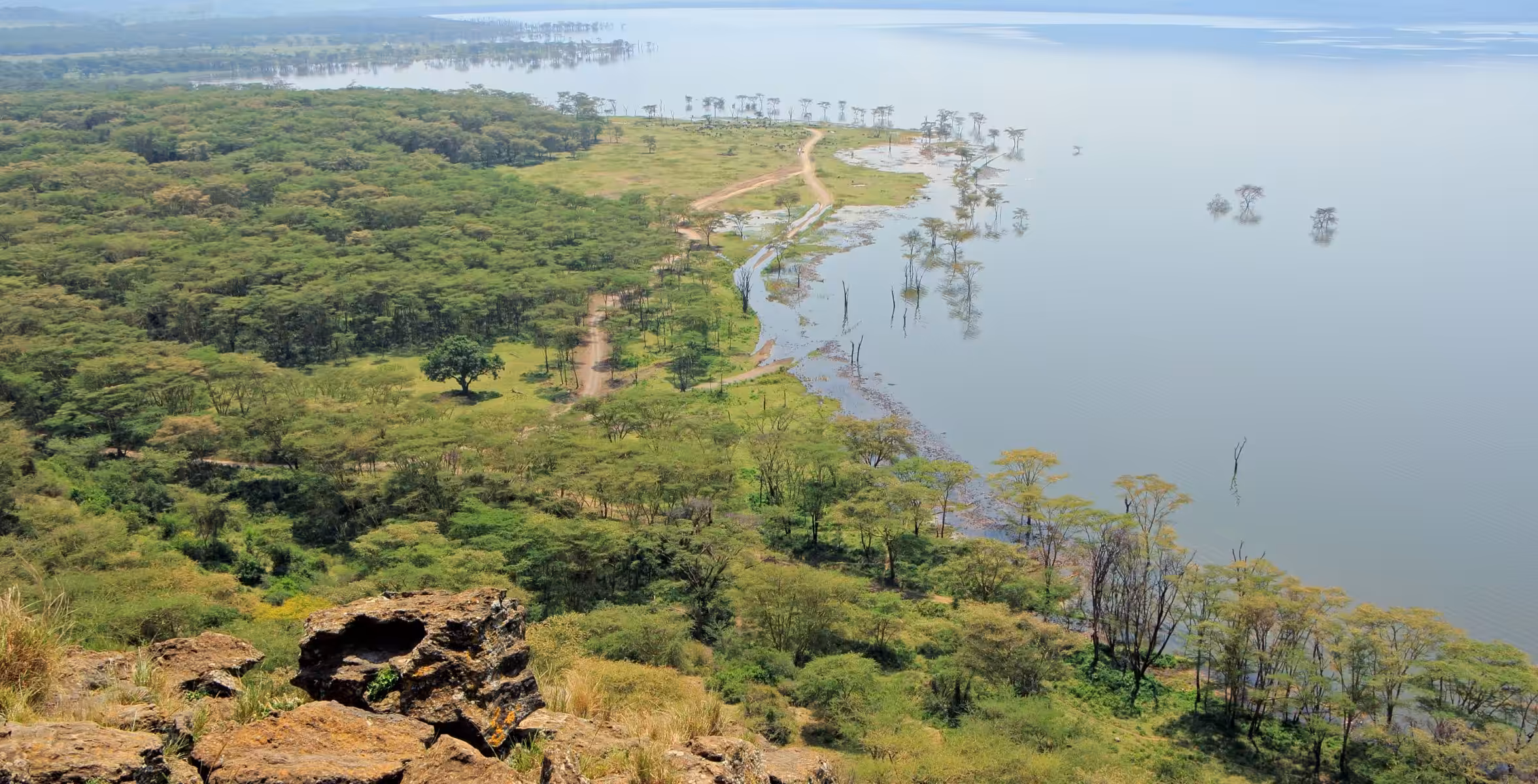 Trasferimento in auto da Solio al Parco Nazionale del Lago Nakuru