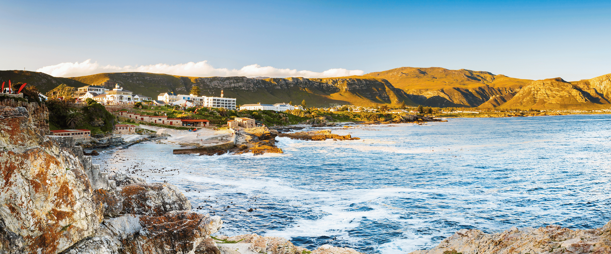 balene hermanus