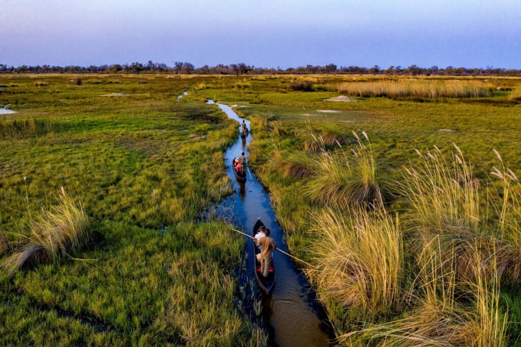 Botswana, campi