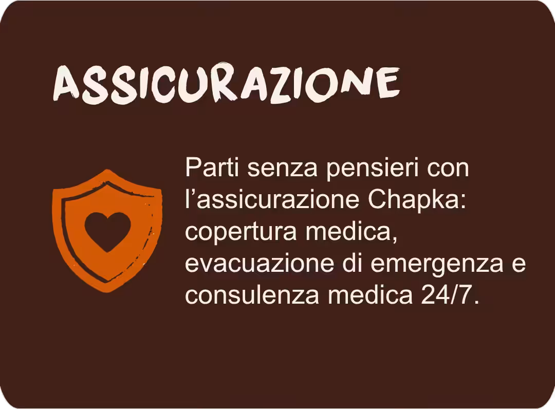 Travel and medical insurance