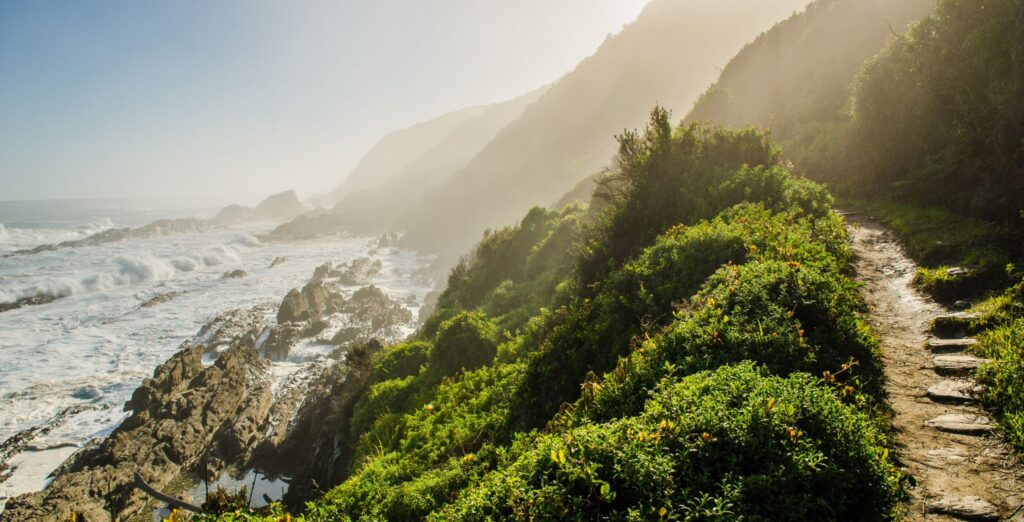 A coastal hiking trail overlooking the rugged shoreline along South Africa’s Garden Route.