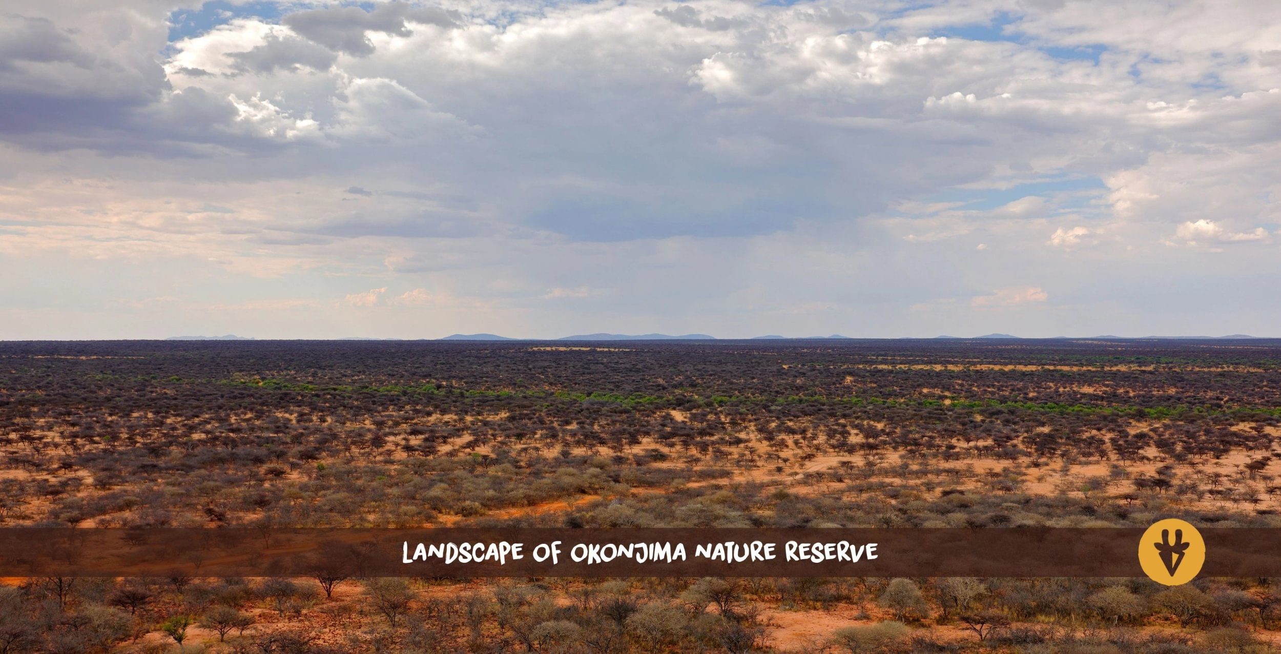 Vista aerea della riserva di Okonjima in Namibia