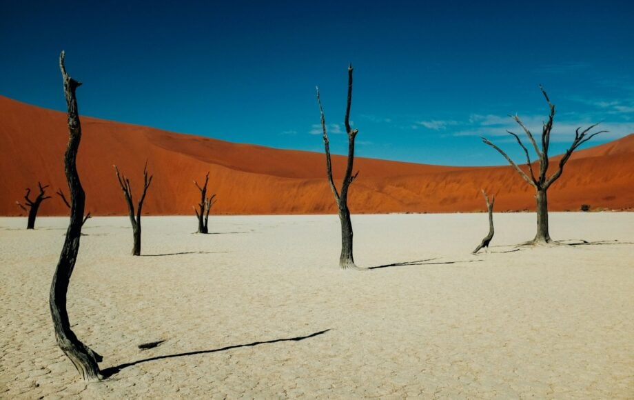 Alberi morti di Deadvlei a Sossusvlei in Namibia