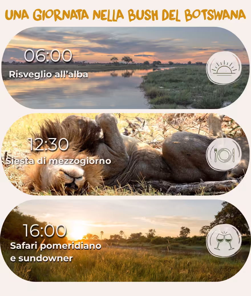 Orario tipico di una giornata di safari in Botswana: sveglia presto alle 06:00, pausa pranzo alle 12:30 ed escursione pomeridiana con sundowner alle 16:00