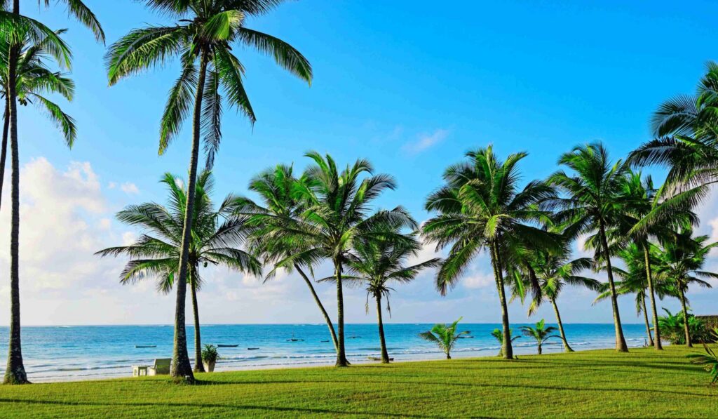 Diani Beach