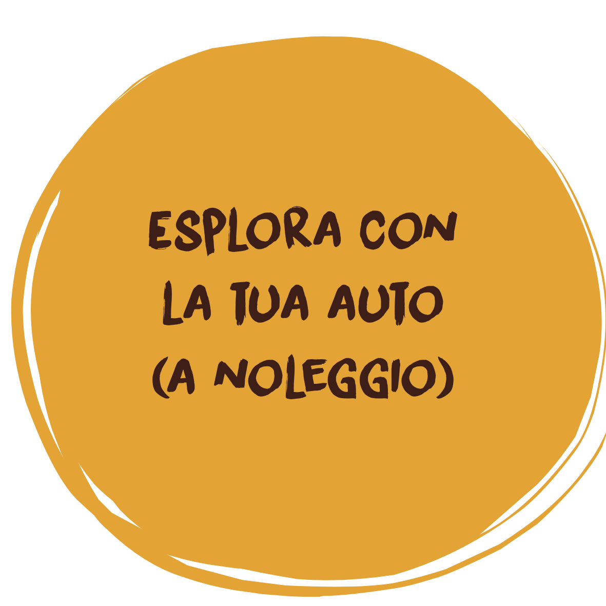 Your own rental car