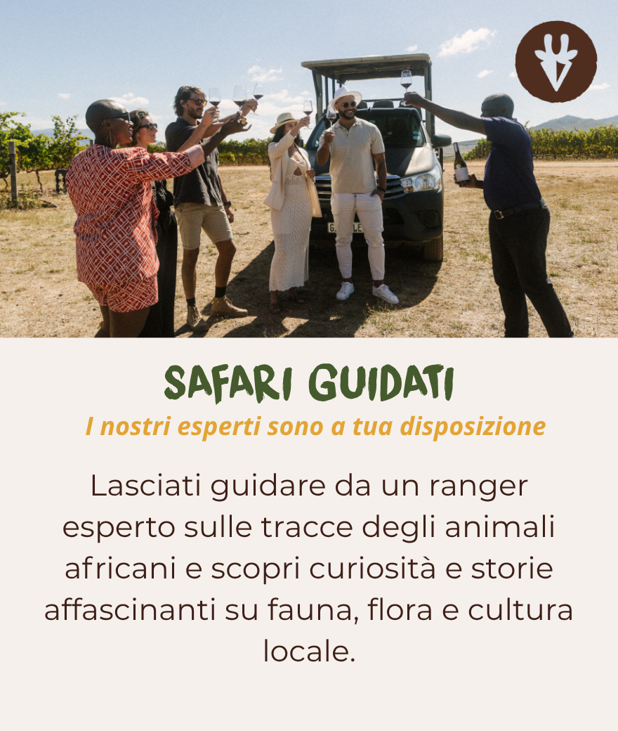 Safari guidati con ranger esperto: scopri tutto su fauna, flora e cultura locale.