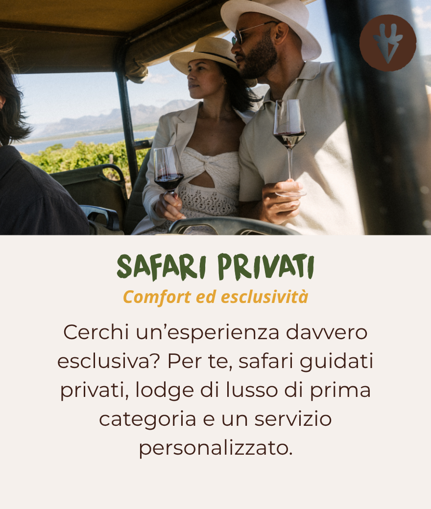 Safari privato, lodge di lusso e un servizio personalizzato.