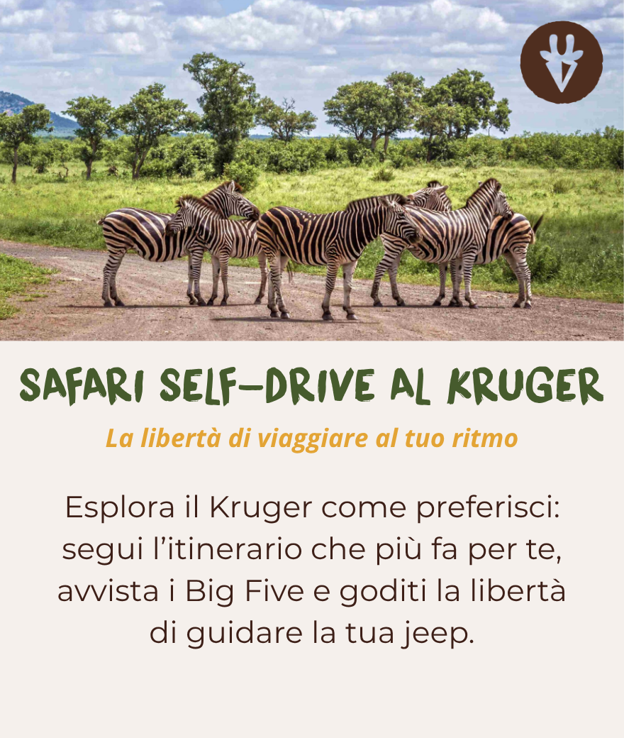 Safari self-drive al Kruger: viaggia al tuo ritmo