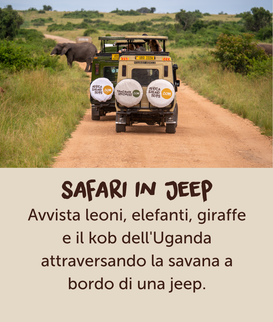Private safari jeep passing an elephant during a game drive in Uganda.